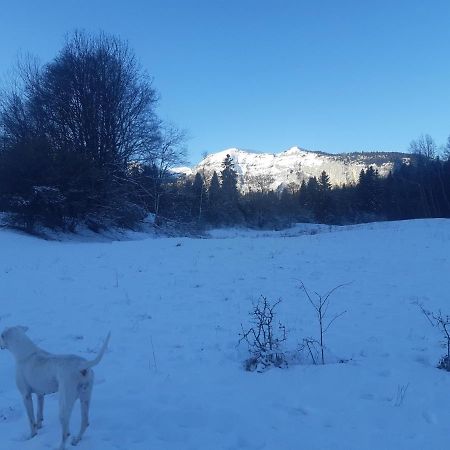 Appartement En Station De Ski A 700 M Des Telecabines Et 100 M Du Centre-Village 雷加霍斯达哈施 外观 照片