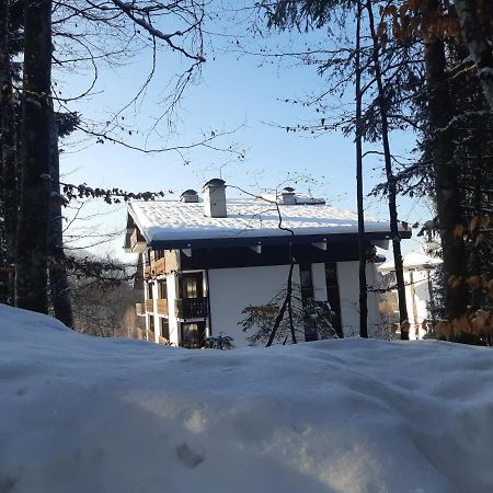 Appartement En Station De Ski A 700 M Des Telecabines Et 100 M Du Centre-Village 雷加霍斯达哈施 外观 照片