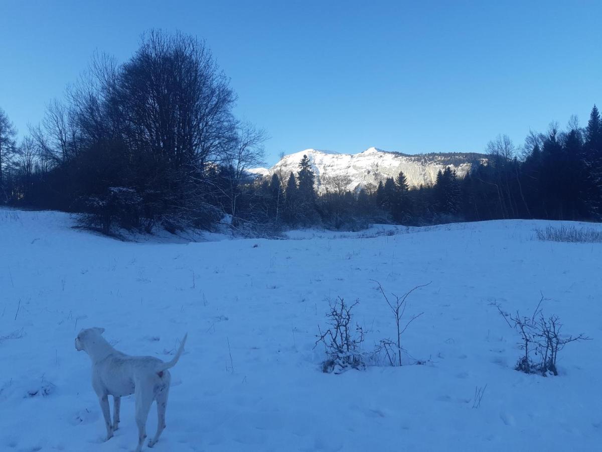 Appartement En Station De Ski A 700 M Des Telecabines Et 100 M Du Centre-Village 雷加霍斯达哈施 外观 照片
